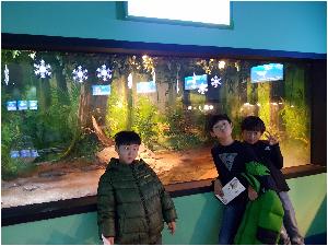 20181109_095645.jpg