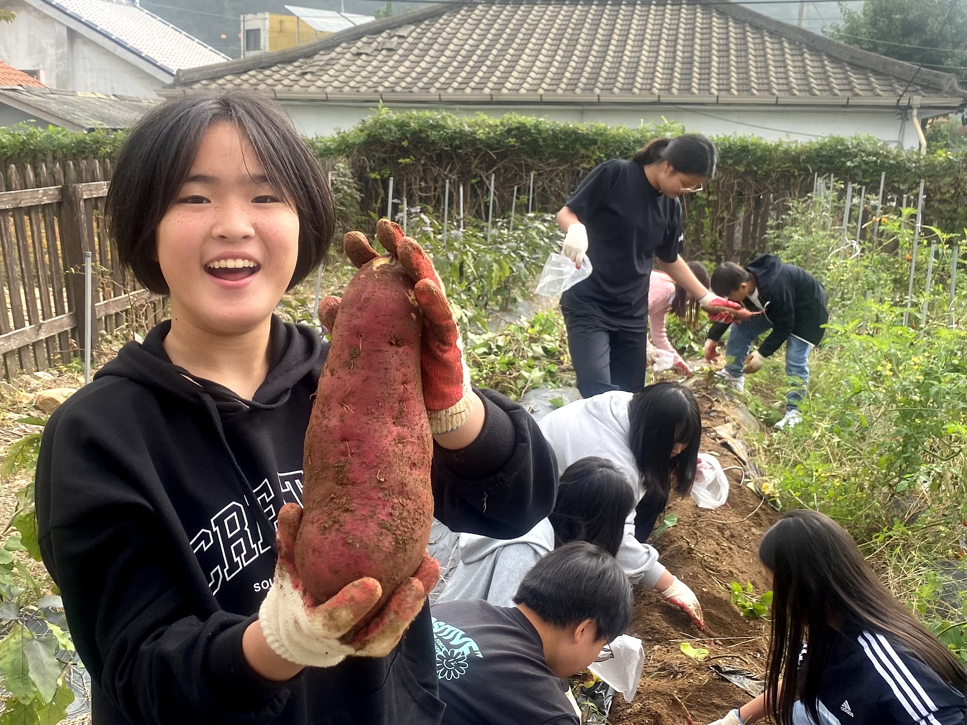 텃밭2